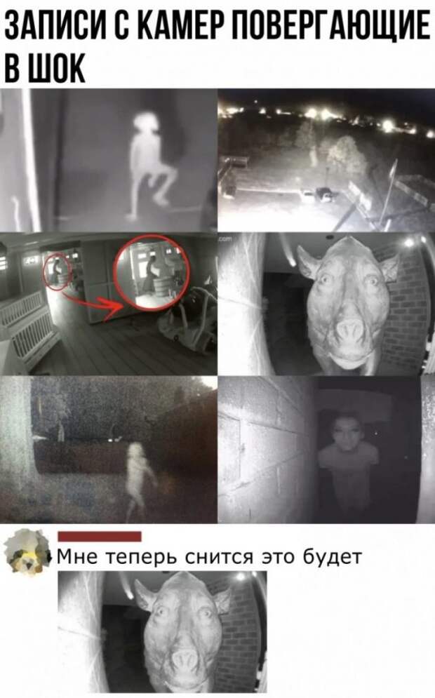 Смешные комментарии из социальных сетей