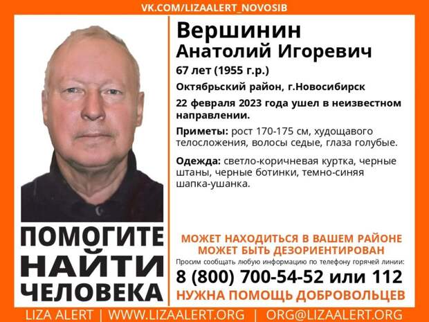 Пенсионер таинственно пропал перед 23 февраля