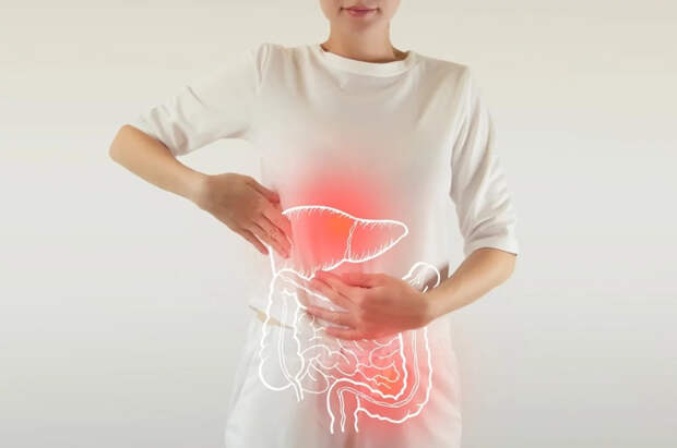 Нутрициолог Толмачева: кишечник — ключ к здоровью и долголетию