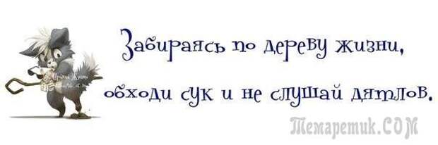 Смешные открытки с философские уклоном