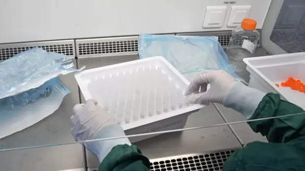 В Индии впервые в мире выделили британский штамм коронавируса