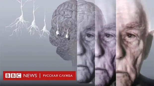 Эфемерность " победы" Запада в информационной войне