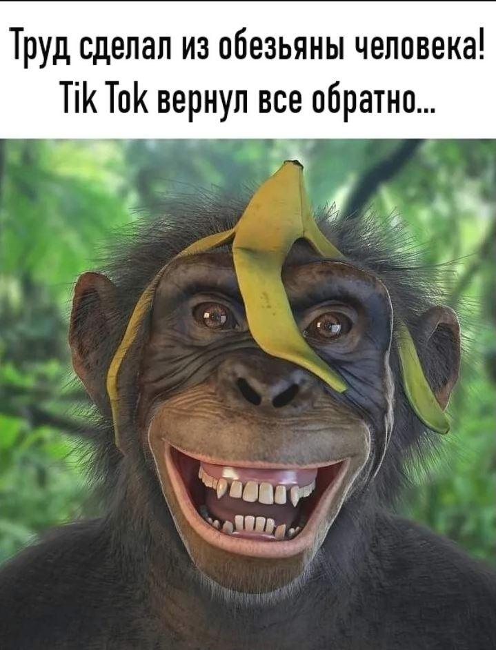 Смешные картинки с надписями (10)