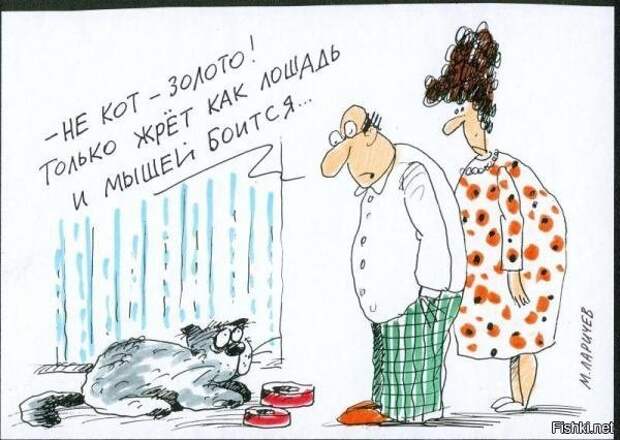 Животный юмор животные в юморе ., карикатуры, рисунки, юмор