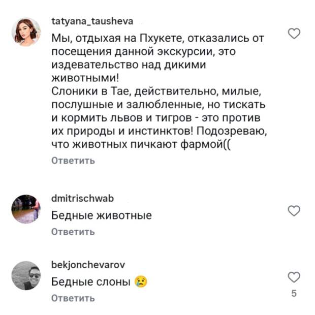 Певицу МакSим осудили за фотографии с дикими животными