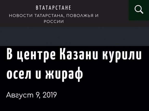 www.vsyako.net