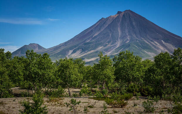 Ходутка — потенциально активный стратовулкан на Камчатке и Приемыш — потухший вулкан