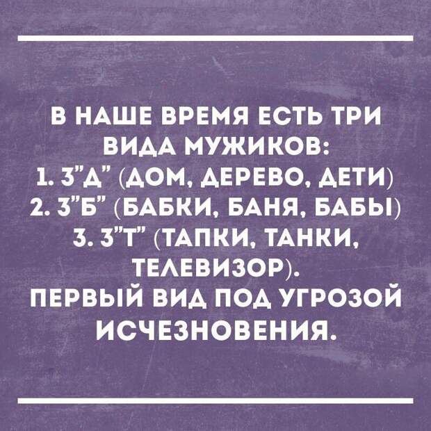 Юмор из интернета 87