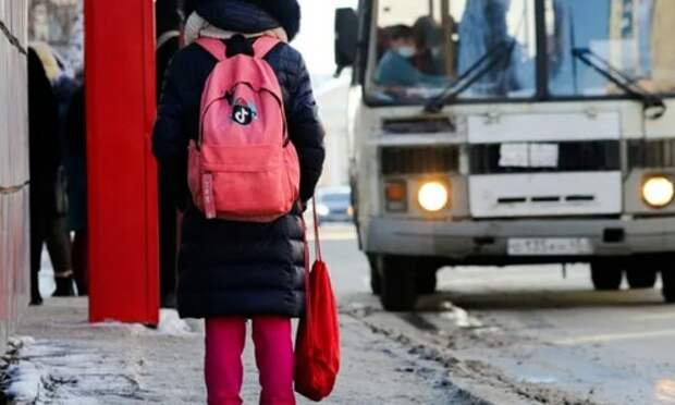 В Пензенской области водитель высадил детей из маршрутки на мороз
