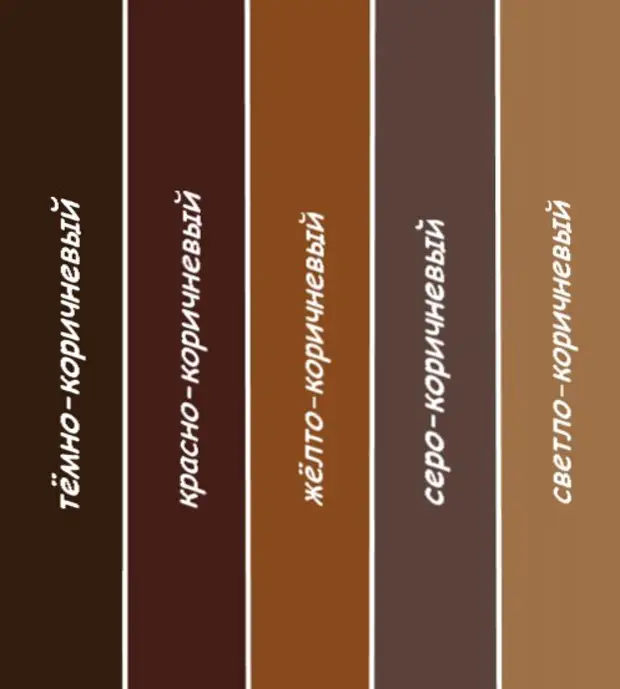 Сочетание цвета какао. Оттенки коричневого цвета. Оттенки коричневого с названиями. Оттенки коричневых цветов. Тона коричневого цвета.