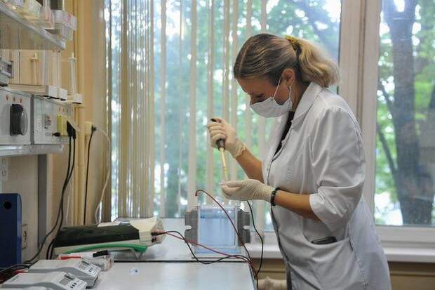 Москвичи смогут узнать результаты теста на коронавирус по смс