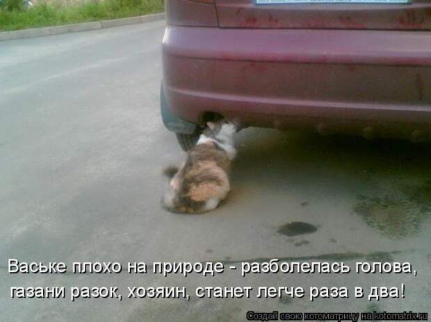 Мысли вслух :)