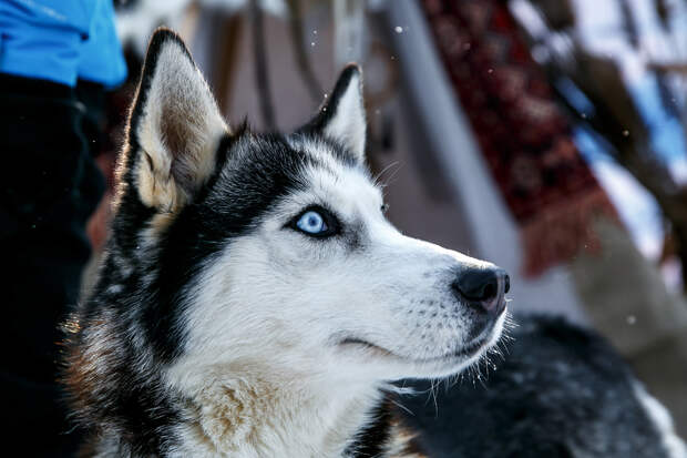 iStock-944871760-.jpg