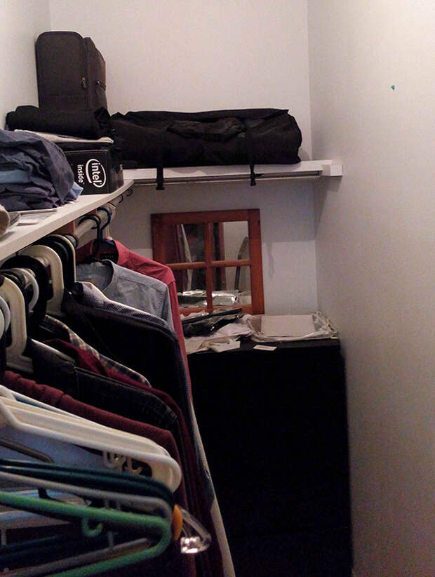 find-hidden-cat-camouflage-hide-and-seek-catouflage-220