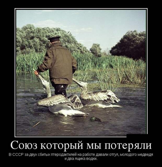 Интригующие демотиваторы для настроения (11 фото) Интригующие демотиваторы для настроения (11 фото)