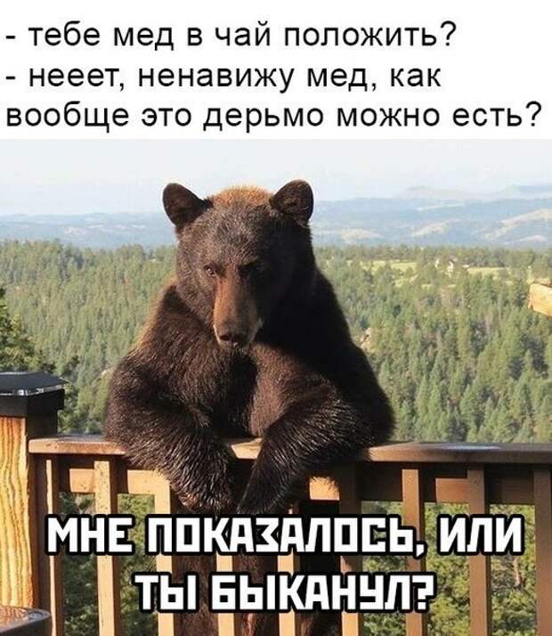 Прикольные и смешные картинки