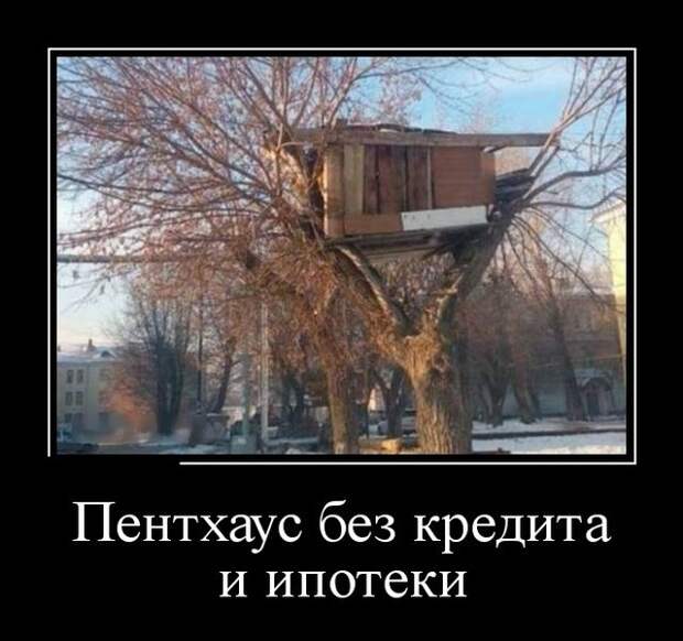Демотиваторы. Я балдею!