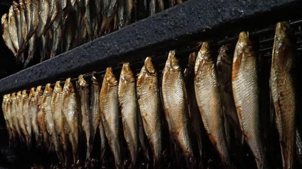 Завод по производству шпротной и деликатесной рыбной продукции построят в Подольске