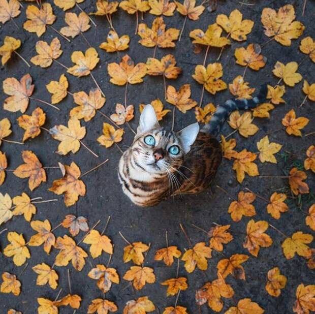18 фото, которых более чем достаточно, чтобы удовлетворить вашего внутреннего перфекциониста