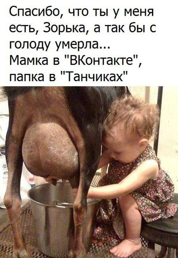 Прикольные фото