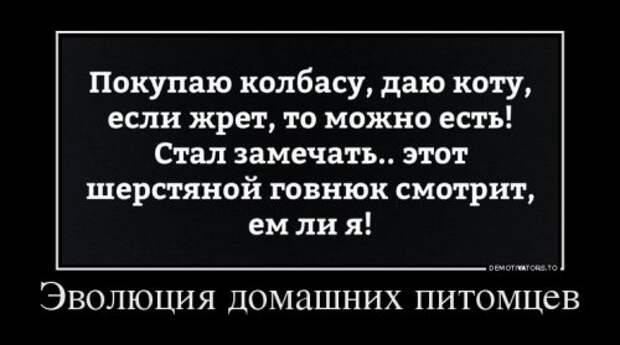 Новая порция демотиваторов (15 шт)