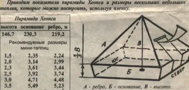 Архивы рука - Страница 3 из 4 - Всё про теплицы