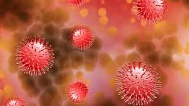 Четыре новых случая коронавируса подтвердили в Удмуртии