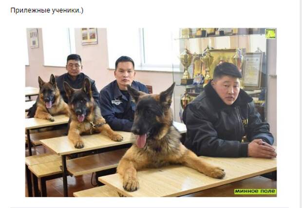 Новый год к нам мчится, скоро всё случится...)