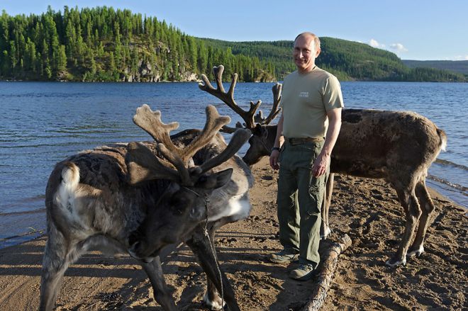 Путин и олени