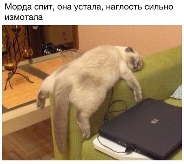 Картинки с надписями мем, прикол, юмор