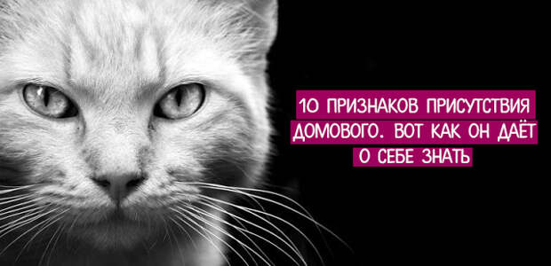 10 признаков присутствия домового. Вот как он даёт о себе знать