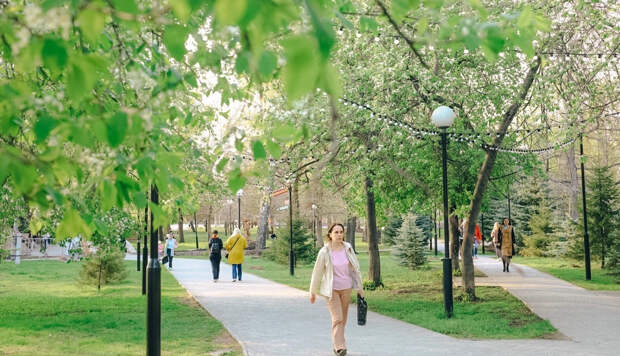 Февральская весна и майское лето: учёный представил новый климатический календарь