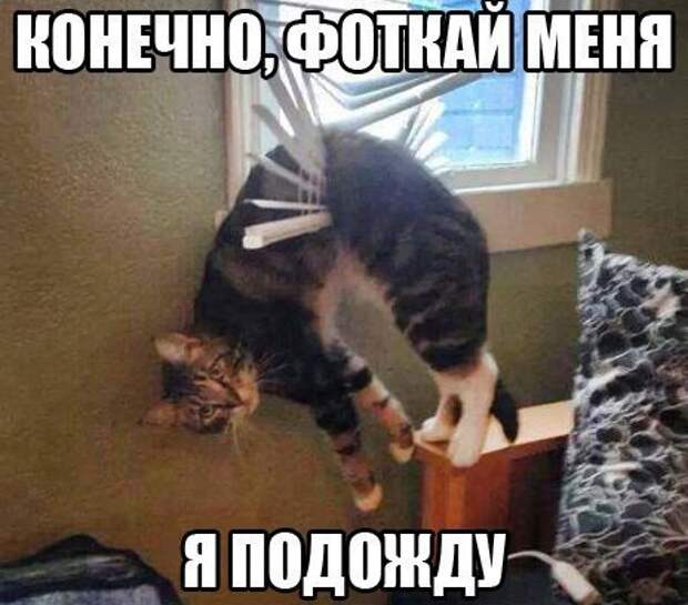 Похожее изображение