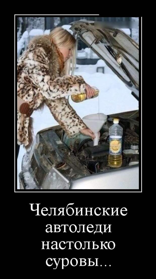 Демотиваторы (30 фото)