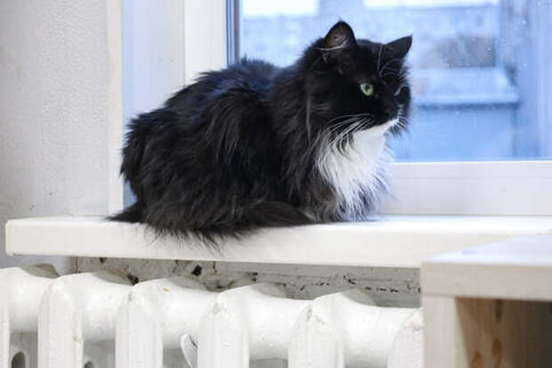 Тепло уходит: стало известно, когда в Краснодаре завершится отопительный сезон