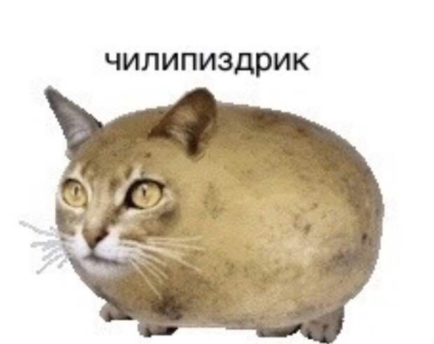 Чилипиздрик