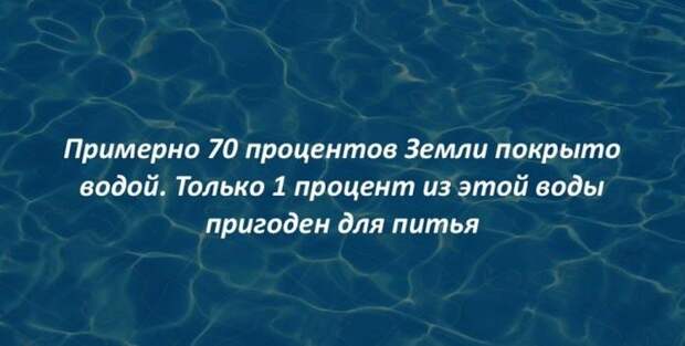 Интересные факты