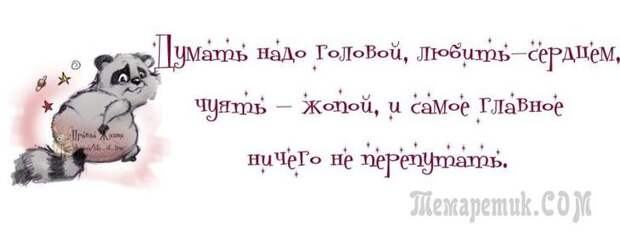 Смешные открытки с философские уклоном