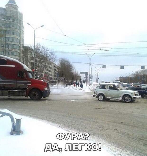 Смешные картинки и фотографии с надписями со смыслом (11 фото)