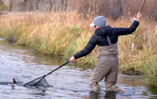 Источник https://www.headhuntersflyshop.com/2015-year-of-the-net/