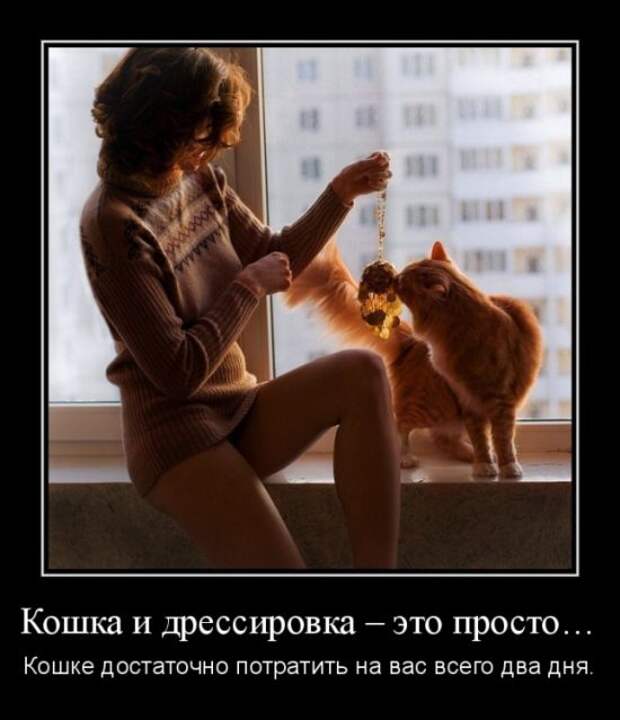 Демотиваторы (30 фото)