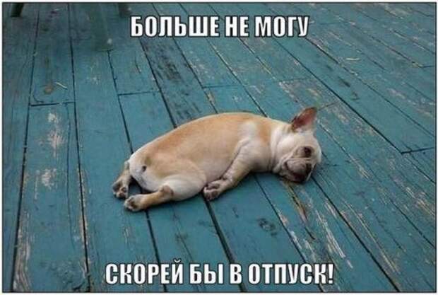 Забавные фотомемы (24 шт)