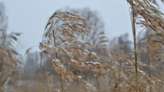 Синоптики предупредили о сильном ветре в Свердловской области 18 февраля