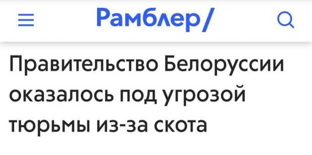 www.vsyako.net