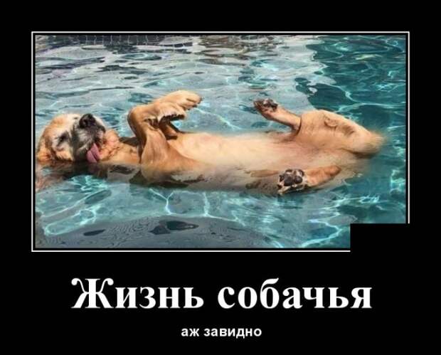 www.vsyako.net