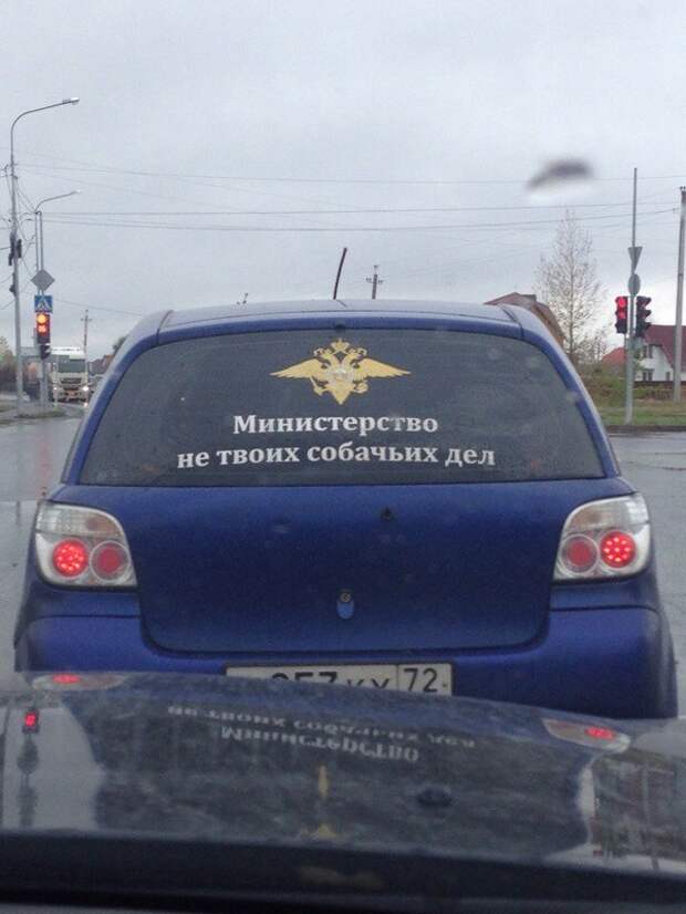 Позитивный пост+221