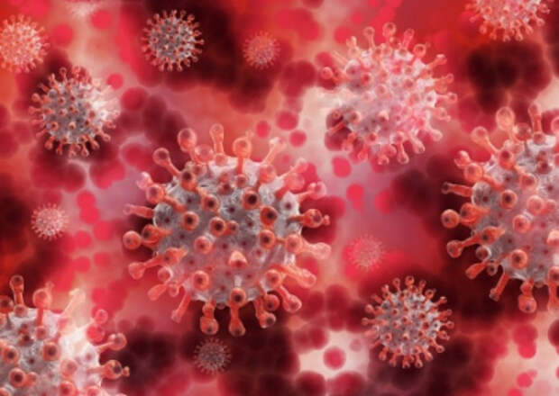 В СНБО узнали об опасности коронавируса ещё в январе