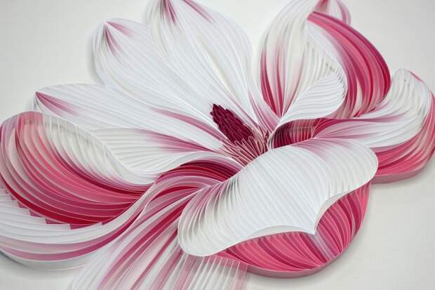 Фотография: Искусство аппликации: потрясающие бумажные цветы от творческого дуэта JUDiTH + ROLFE №8 - BigPicture.ru