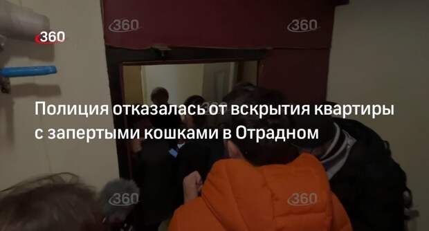 Полиция Москвы не увидела угроз для запертых в квартире кошек в Отрадном