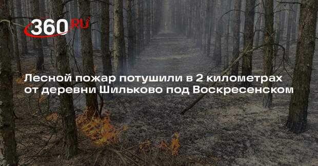 Лесной пожар потушили в 2 километрах от деревни Шильково под Воскресенском